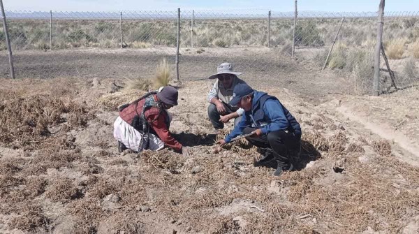 Bolivia enfrenta escasez de agua mientras una ola de calor provoca una fuerte sequa