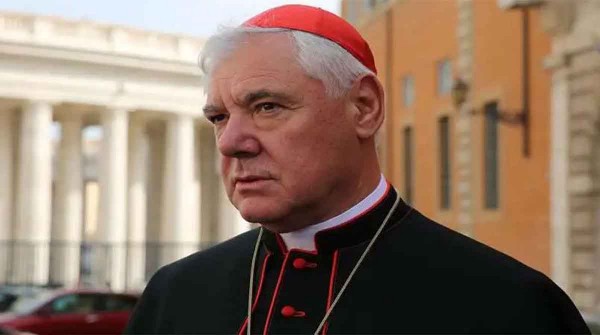 Un cardenal desafa una regla del Papa y genera revuelo en el Vaticano con sus crticas en pleno snodo