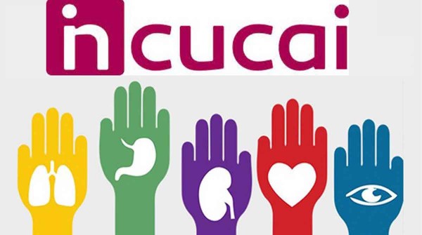 ¿Venta de órganos? Qué dijo el Incucai sobre las afirmaciones de Javier Milei durante el debate