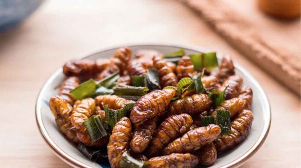 No apto vegetarianos: buscan que se apruebe el consumo de insectos en Argentina