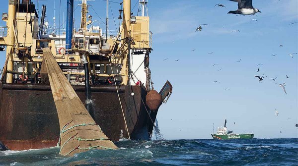 Sector pesquero rechaza la 