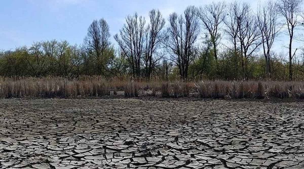 Advierten que el cambio climtico reducira la esperanza de vida en medio ao