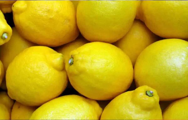 Indito: el Gobierno cre un sistema de monitoreo de las exportaciones de jugo de limn a Estados Unidos