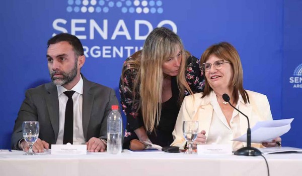 Senado: Patricia Bullrich obtuvo su dictamen, pero la reforma laboral recién se discutirá en el recinto en febrero