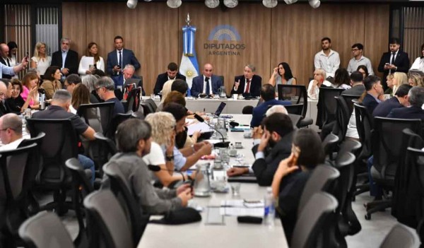 Audiencias por la reforma de la Ley de Glaciares: comienza la primera jornada con 200 oradores presenciales