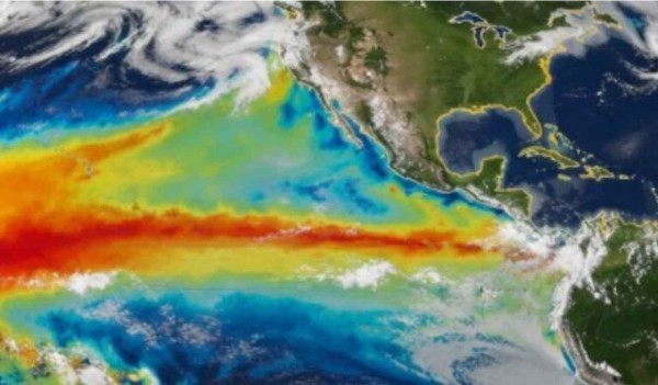 Alerta de la mayor experta en clima por 