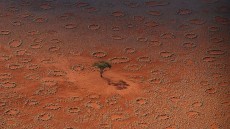 Extra�os c�rculos en el desierto